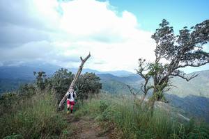 BIB: 
                            <button type="button" onclick="openModal(22372939)" class="btn btn-primary btn-sm float-right btn-popup" data-toggle="modal" data-target=".modal-high-quality">
                        <i class="fas fa-shopping-cart"></i> Add to Cart
                    </button>
                                            <button type="button" onclick="isThisMe(22372939, true)" class="btn btn-success btn-sm float-right btn-popup btn-isme hidden" data-toggle="tooltip" data-placement="bottom" title="นี่คือรูปของคุณใช่ไหม คลิกที่นี่เพื่อเอาเข้าอัลบั้ม">
                        <i class="fas fa-plus"></i> Add to album
                    </button>
                    <button type="button" onclick="isThisMe(22372939, false)" class="btn btn-warning btn-sm float-right btn-popup btn-isnotme hidden">
                        <i class="fas fa-ban"></i> Remove from album
                    </button>